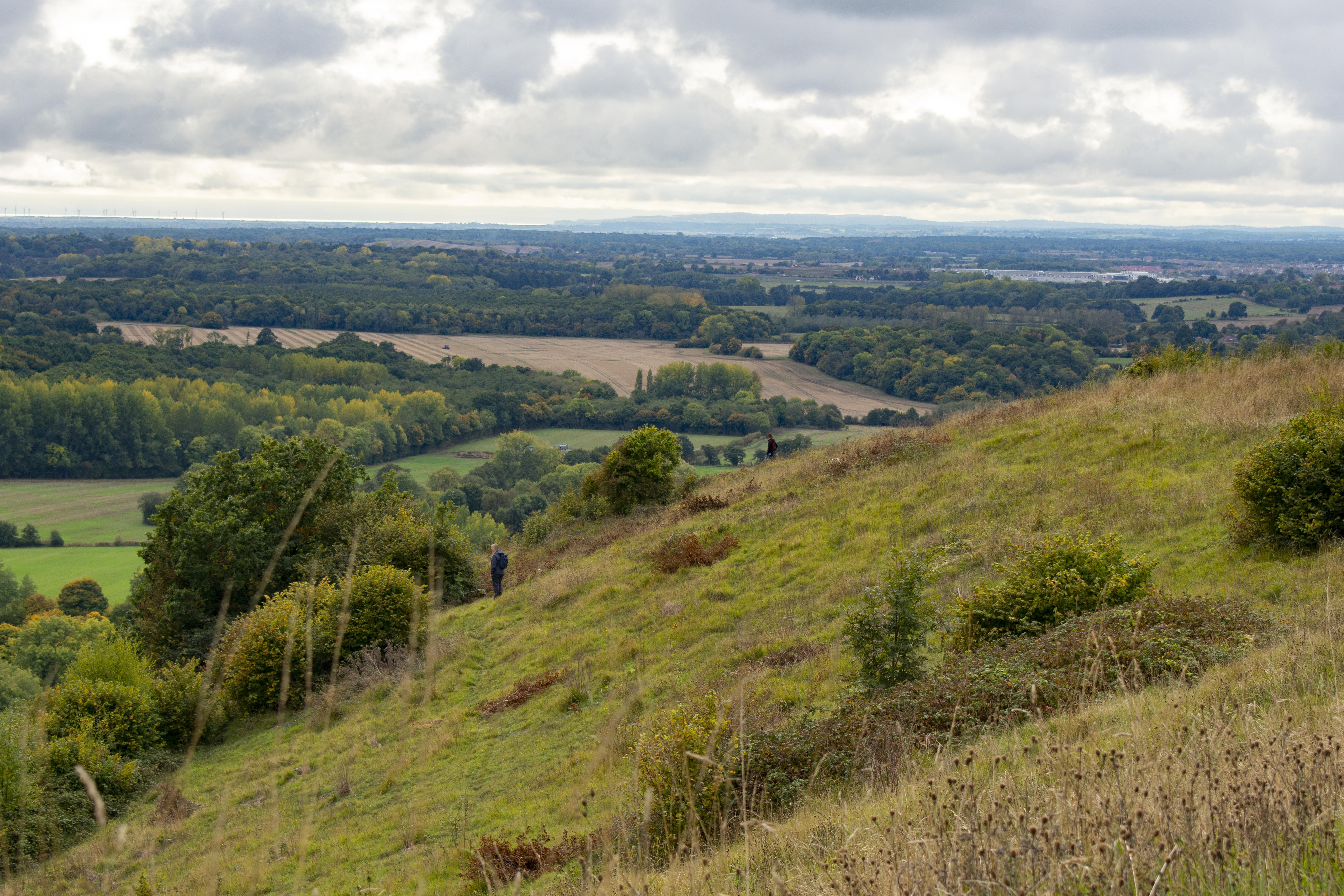 A shot of the curvature of a hill with fields, woodland and the sea behind.